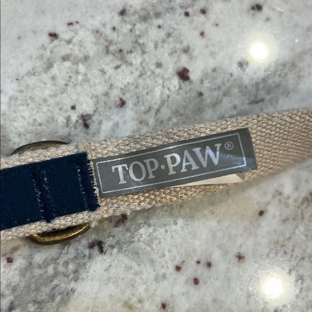 Top Paw Blue and Yellow Striped Dog Leash 4FT